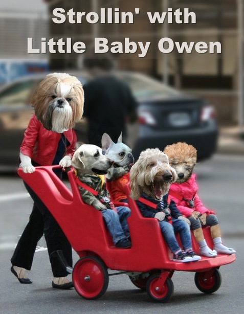 A teacher is pushing Owen and 4 other kids in a stroller.  Owen is screaming! 